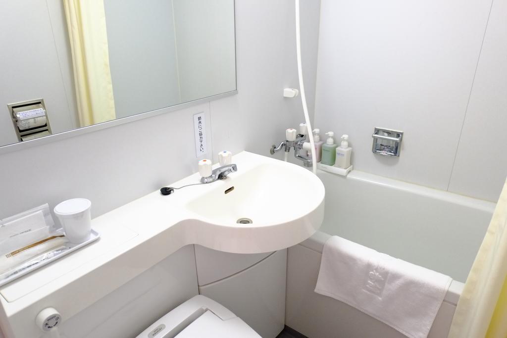 Hotel Shimbashi Sambankan Tokyo Oda fotoğraf